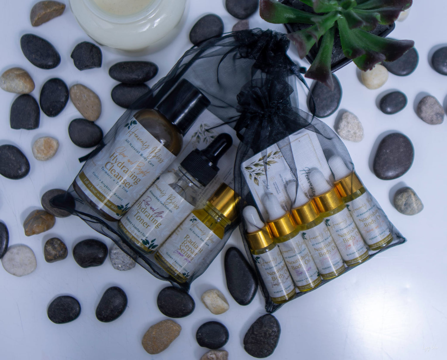 The Discovery Collection